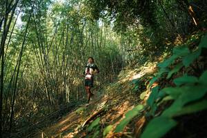 BIB: 
                            <button type="button" onclick="openModal(28141347)" class="btn btn-primary btn-sm float-right btn-popup" data-toggle="modal" data-target=".modal-high-quality">
                        <i class="fas fa-shopping-cart"></i> Add to Cart
                    </button>
                                            <button type="button" onclick="isThisMe(28141347, true)" class="btn btn-success btn-sm float-right btn-popup btn-isme hidden" data-toggle="tooltip" data-placement="bottom" title="นี่คือรูปของคุณใช่ไหม คลิกที่นี่เพื่อเอาเข้าอัลบั้ม">
                        <i class="fas fa-plus"></i> Add to album
                    </button>
                    <button type="button" onclick="isThisMe(28141347, false)" class="btn btn-warning btn-sm float-right btn-popup btn-isnotme hidden">
                        <i class="fas fa-ban"></i> Remove from album
                    </button>